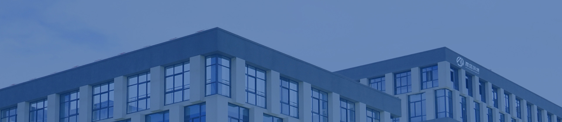 corp info banner